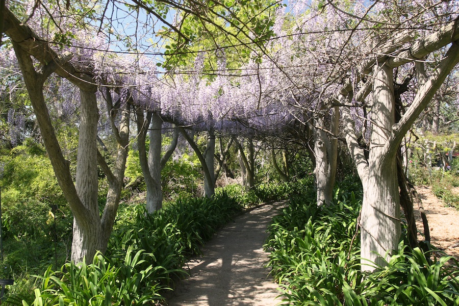 Celebrating five years retired at Huntington Gardens