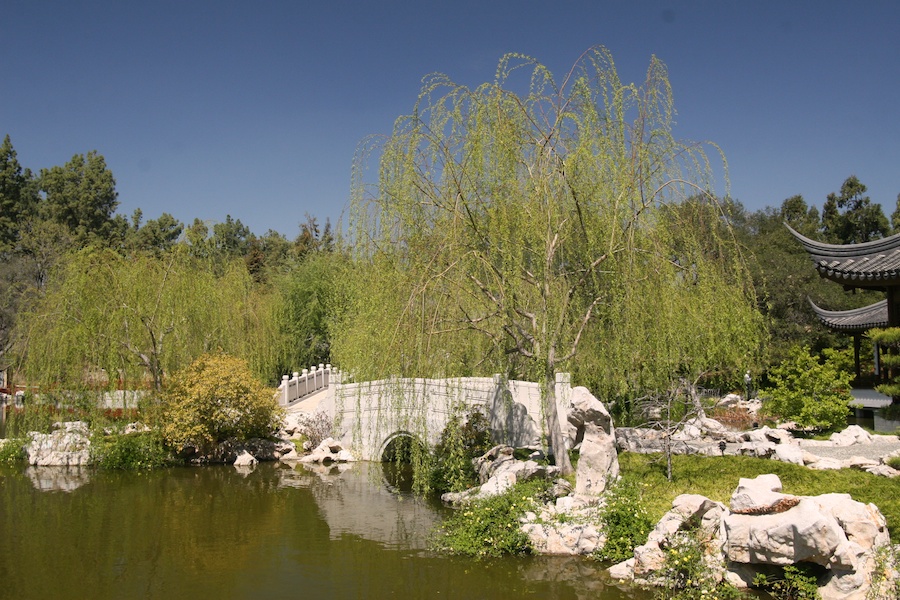 Celebrating five years retired at Huntington Gardens