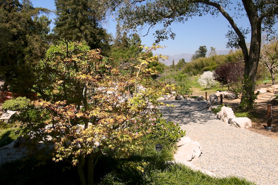 Celebrating five years retired at Huntington Gardens