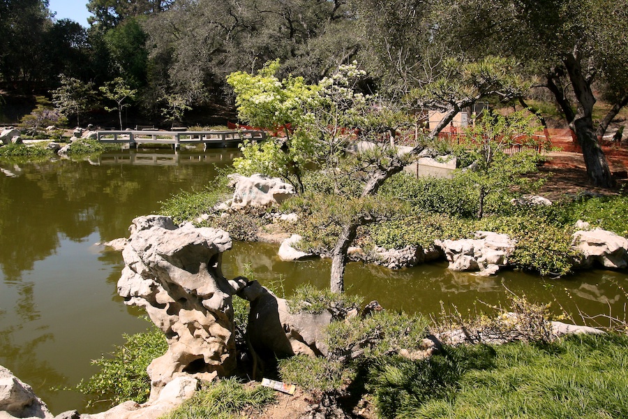 Celebrating five years retired at Huntington Gardens