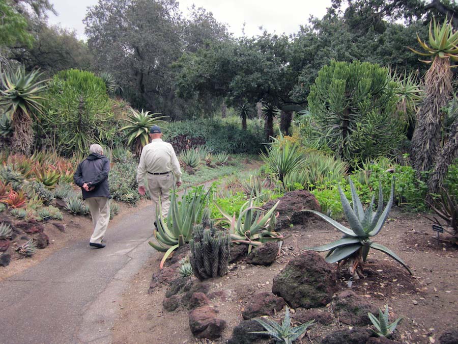 Huntington Gardens 10/9/2013