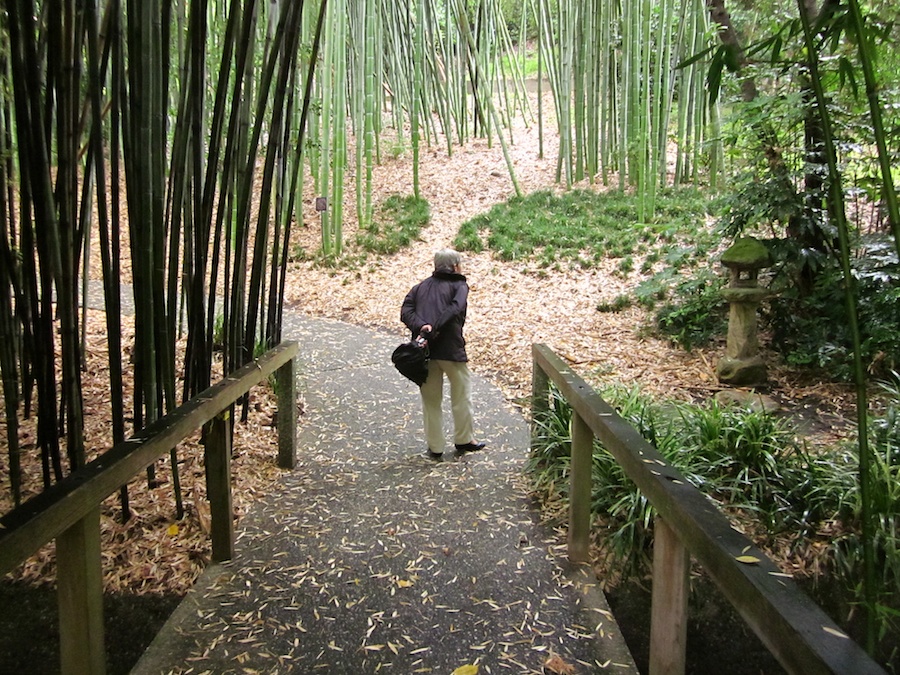 Huntington Gardens 10/9/2013