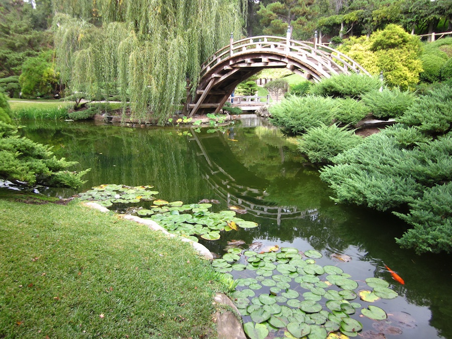 Huntington Gardens 10/9/2013