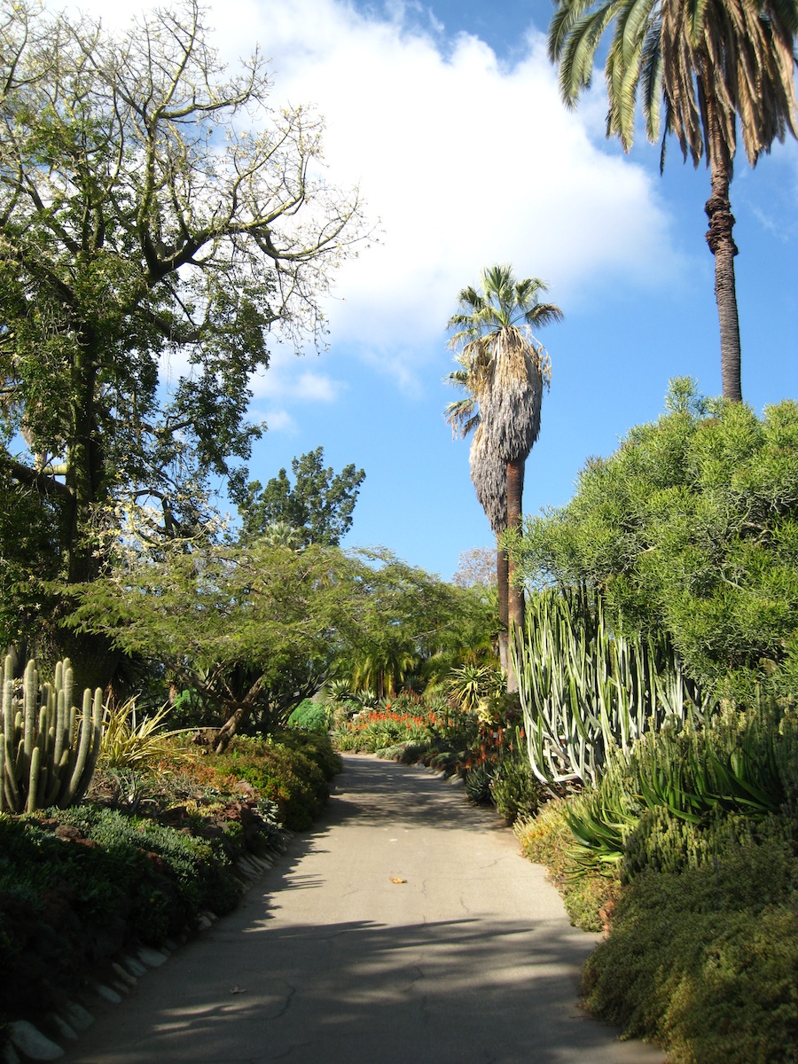 Huntington Library * Gardens visit December 2013