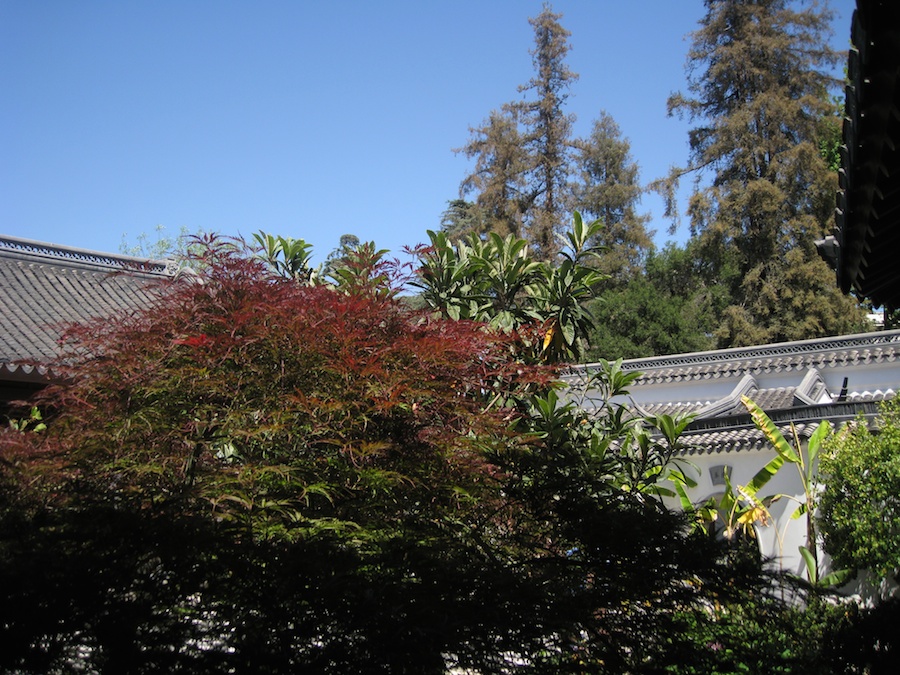 Huntington Gardens with the Porters 4/14/14