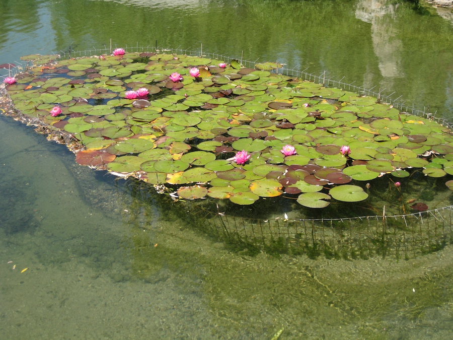 Huntington Gardens with the Porters 4/14/14