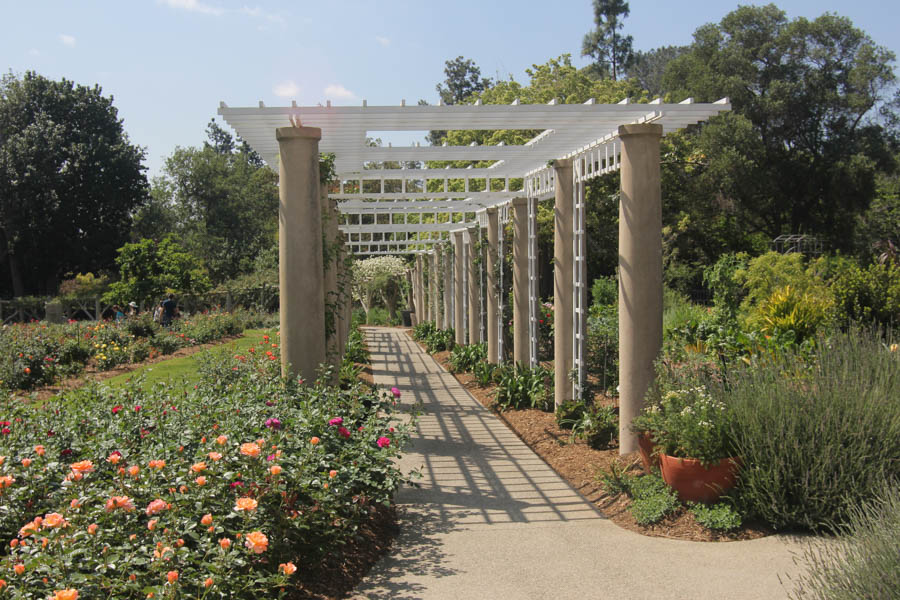 Fun times at the Huntington with Brian and Jan 3/23/2015