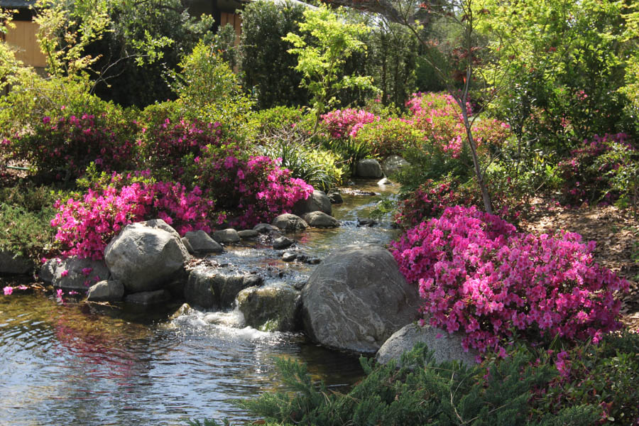 Fun times at the Huntington with Brian and Jan 3/23/2015