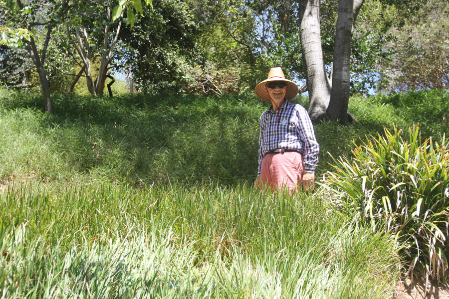 A walk iat the Huntington 7/13/2015