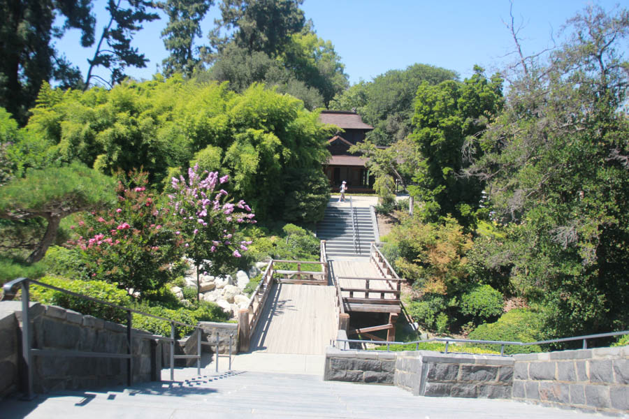 Visiting the Huntington Gardens July 13th 2015 with Charlotte and Greg