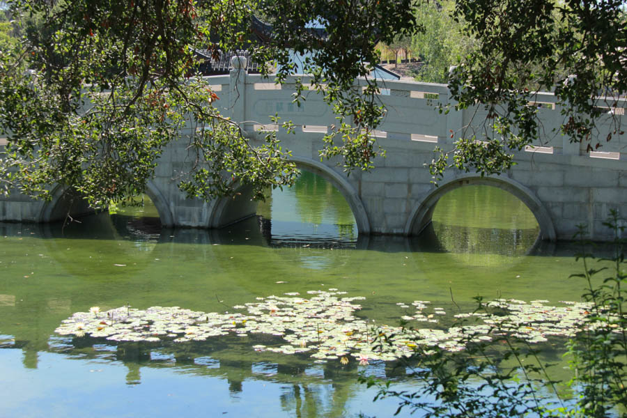 Visiting The Huntington July 25th 2016