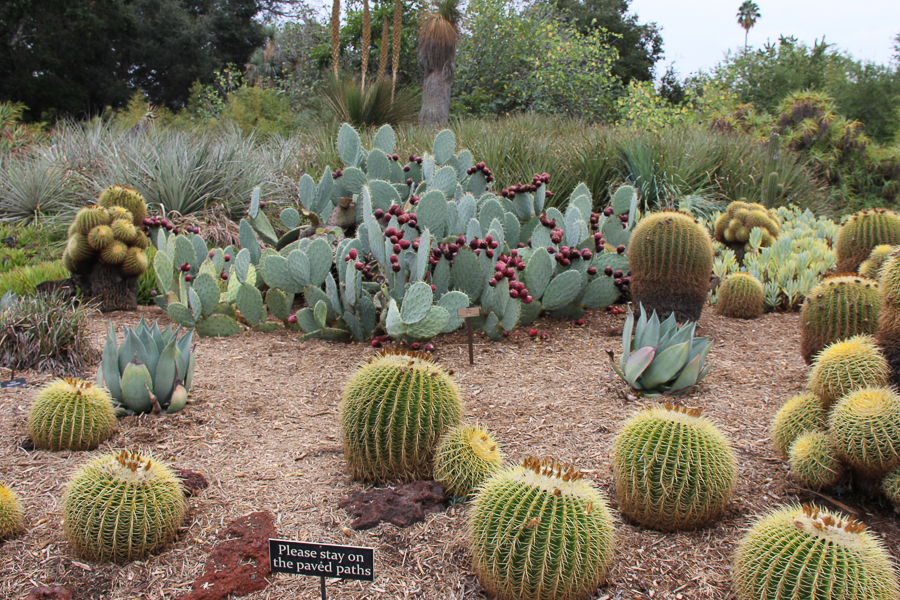 Huntington Library 2022-09