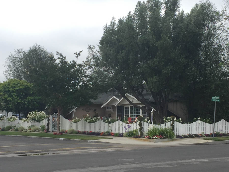 Walking around Rossmoor