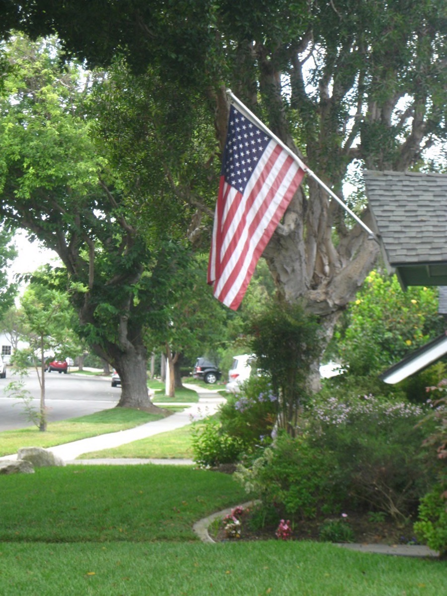 Walking in Rossmoor