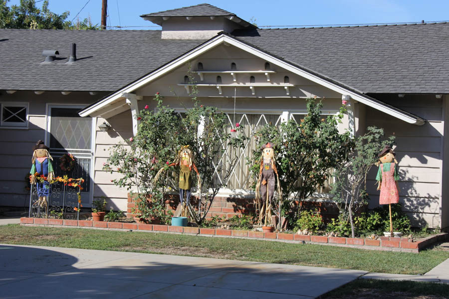 Walking around Rossmoor during October 2016 can be an adventure!