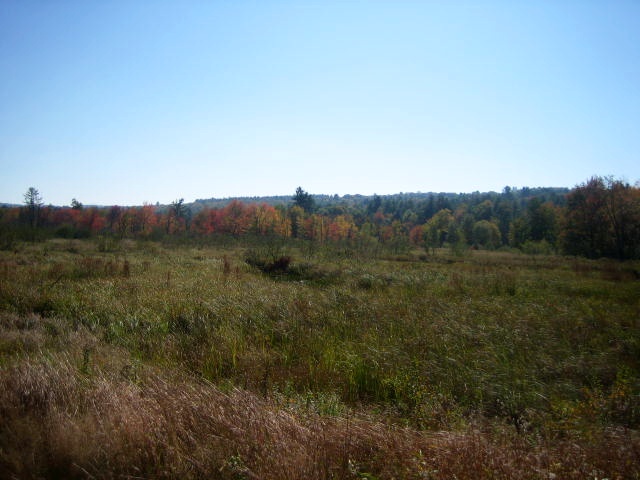 New England Fall Foliage Adventure