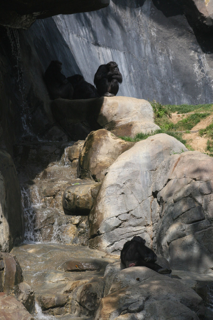 Los Angeles Zoo February 2010