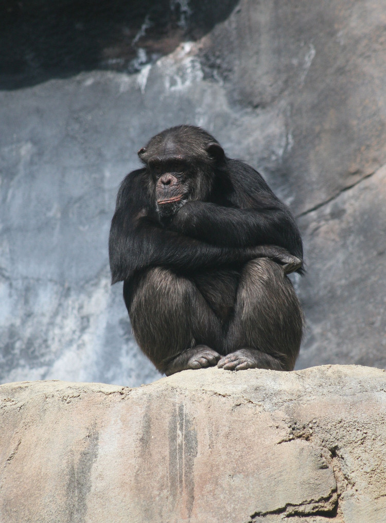 Los Angeles Zoo February 2010