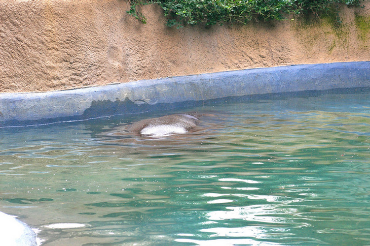 Los Angeles Zoo February 2010