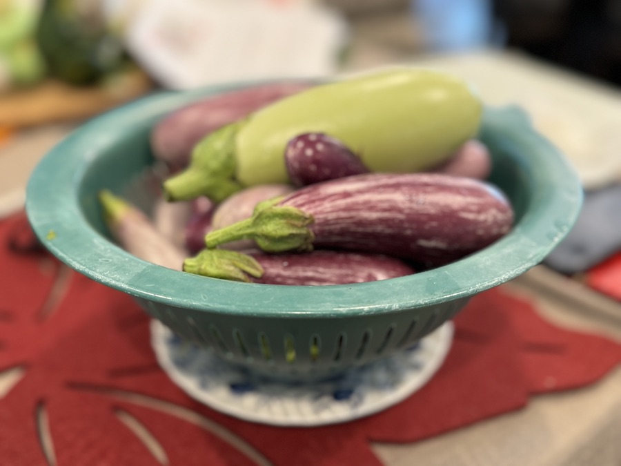 Cooking fresh eggplant right out of the garden!