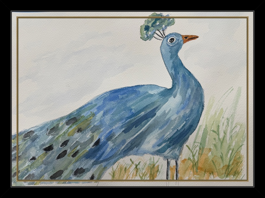 Mary's watercolors