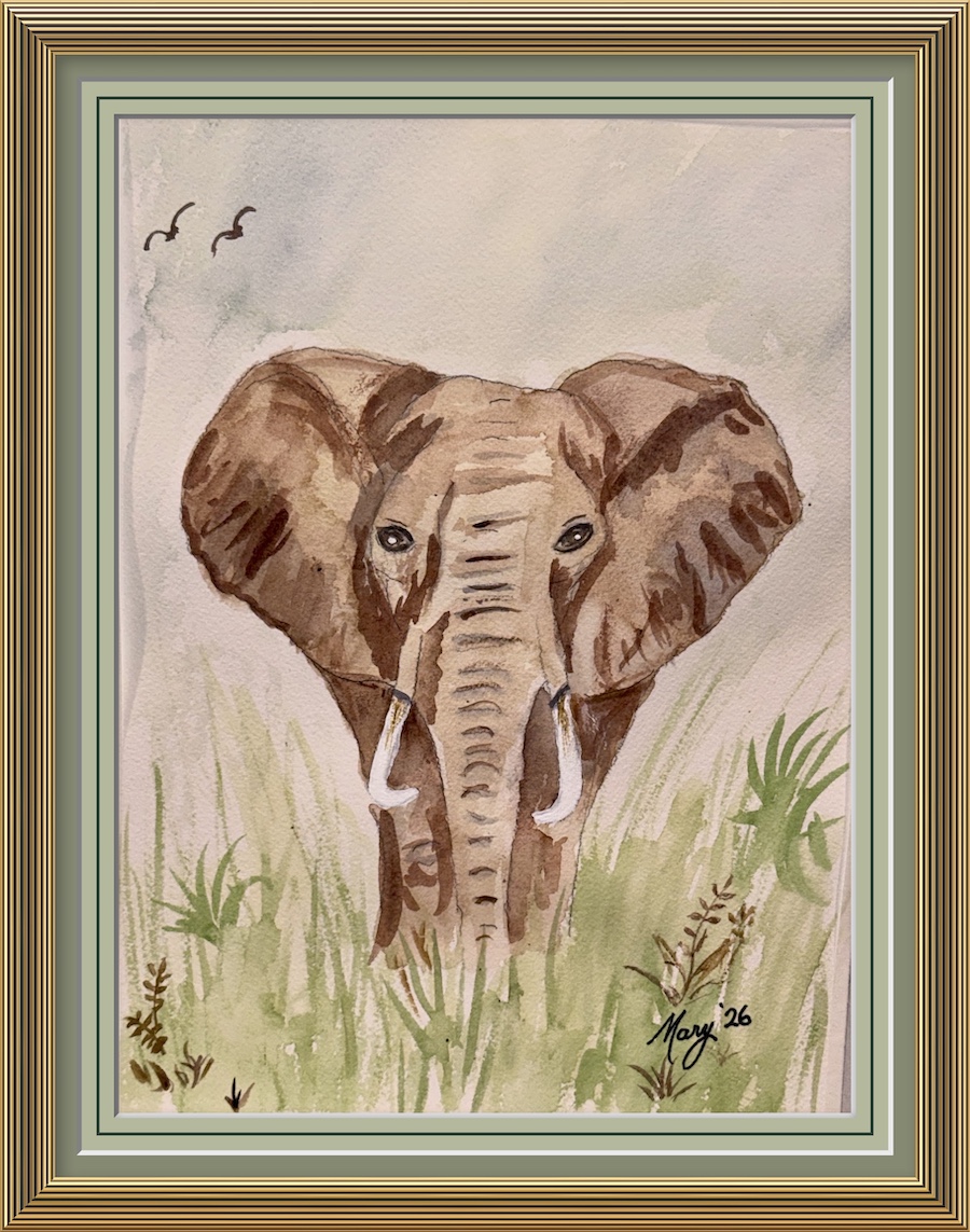 Mary's watercolors
