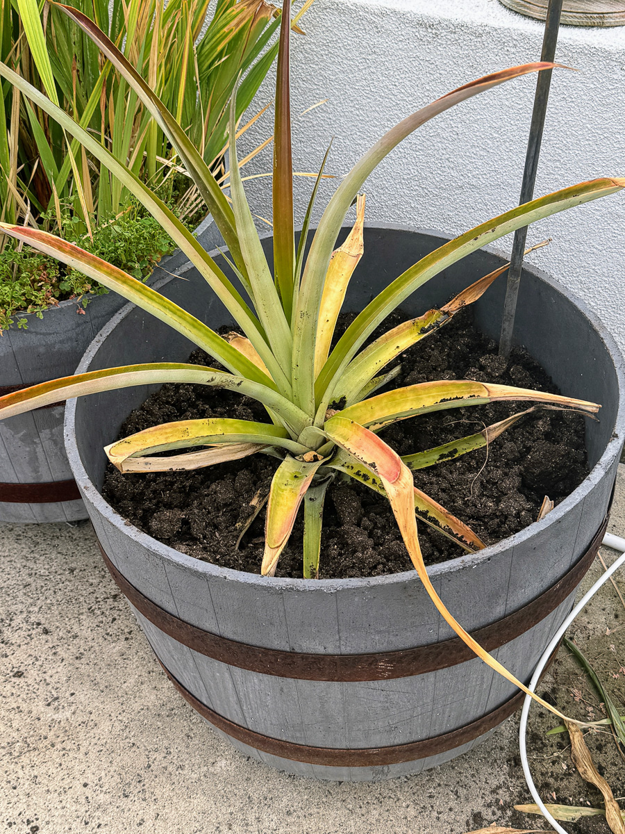 Celebrating our 4th snniversary