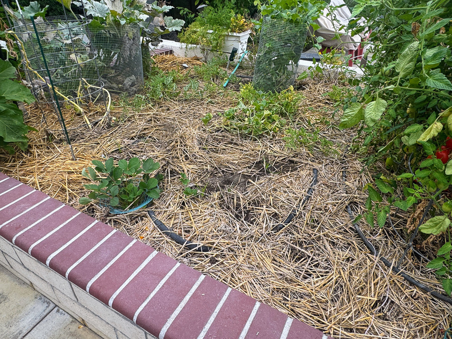 Celebrating our 4th snniversary