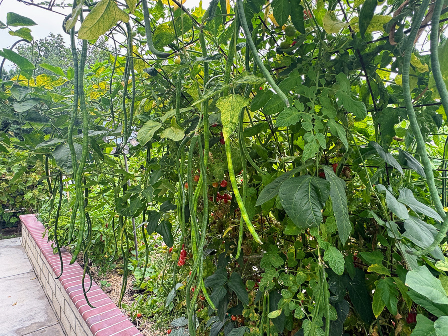 Celebrating our 4th snniversary