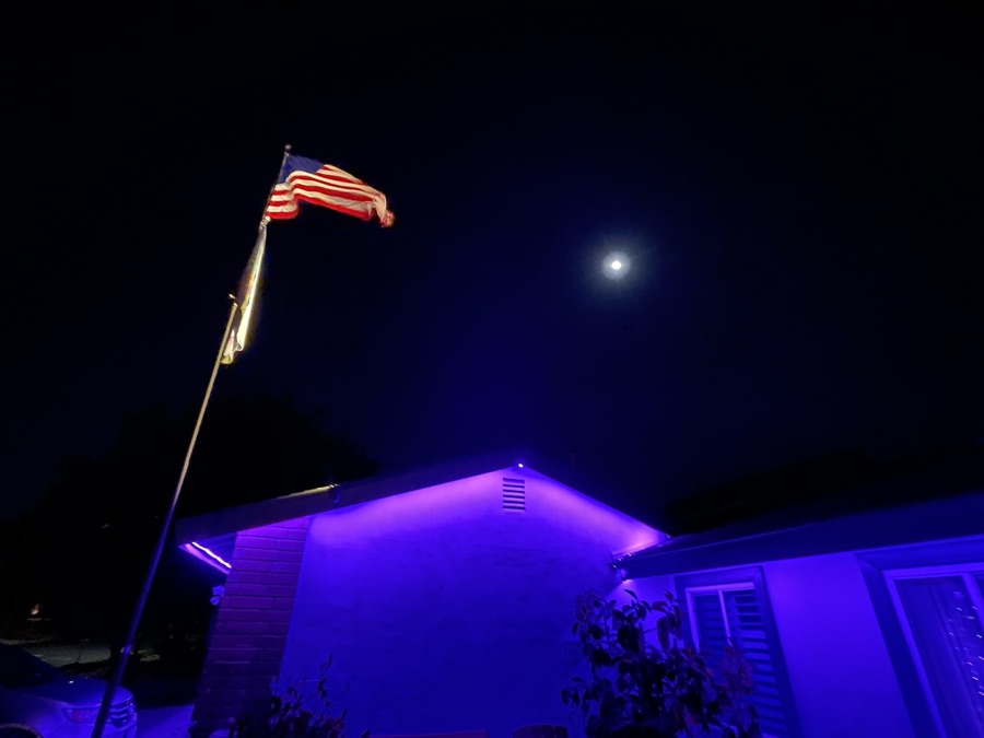 Front Yard Lights