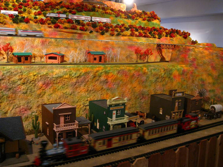 Nixon Library Trains Display 1/8/2010