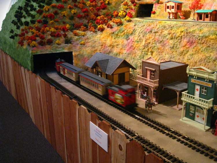 Nixon Library Trains Display 1/8/2010