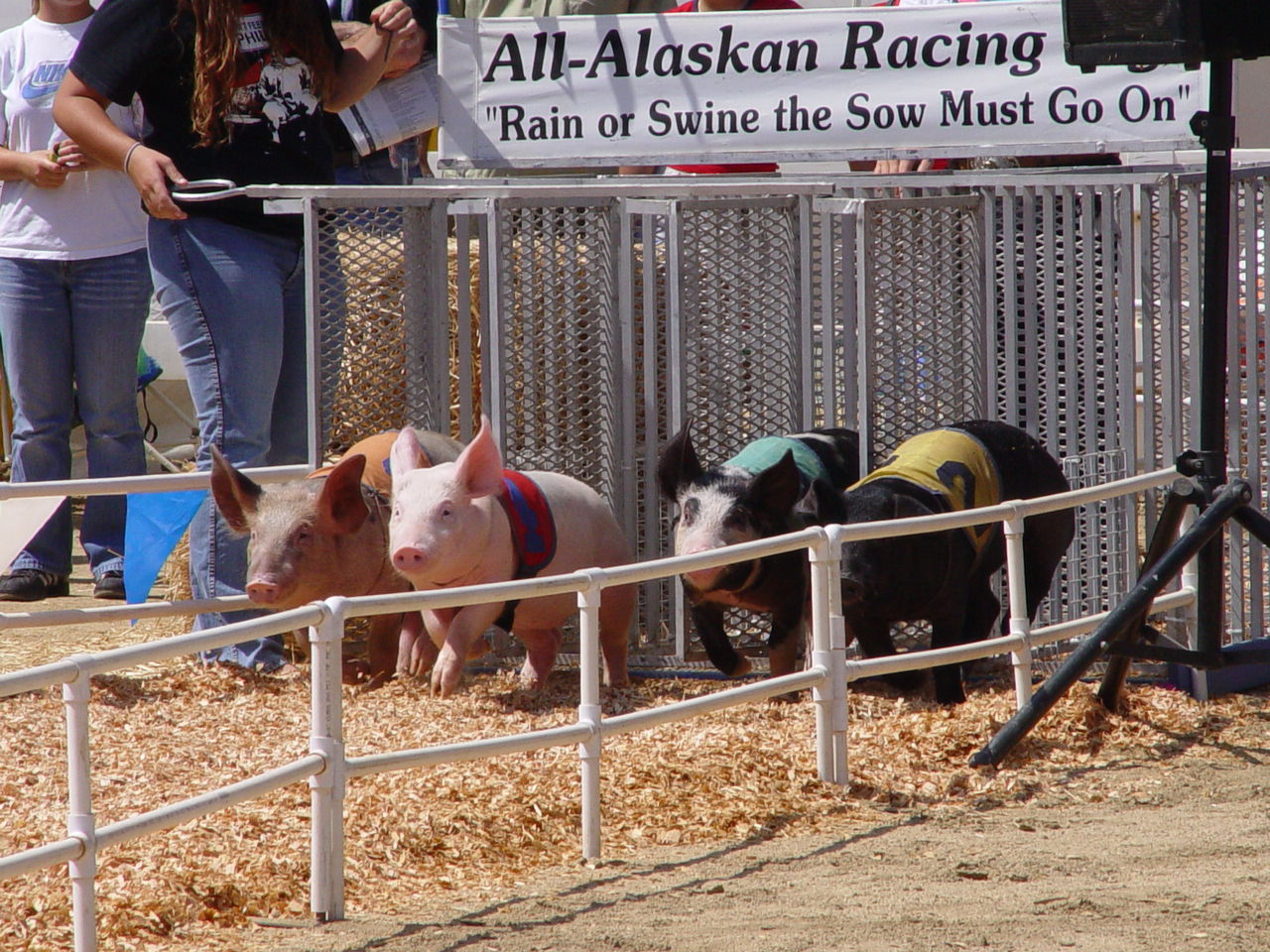 The Liles and Porters go to the OC Fair 2004