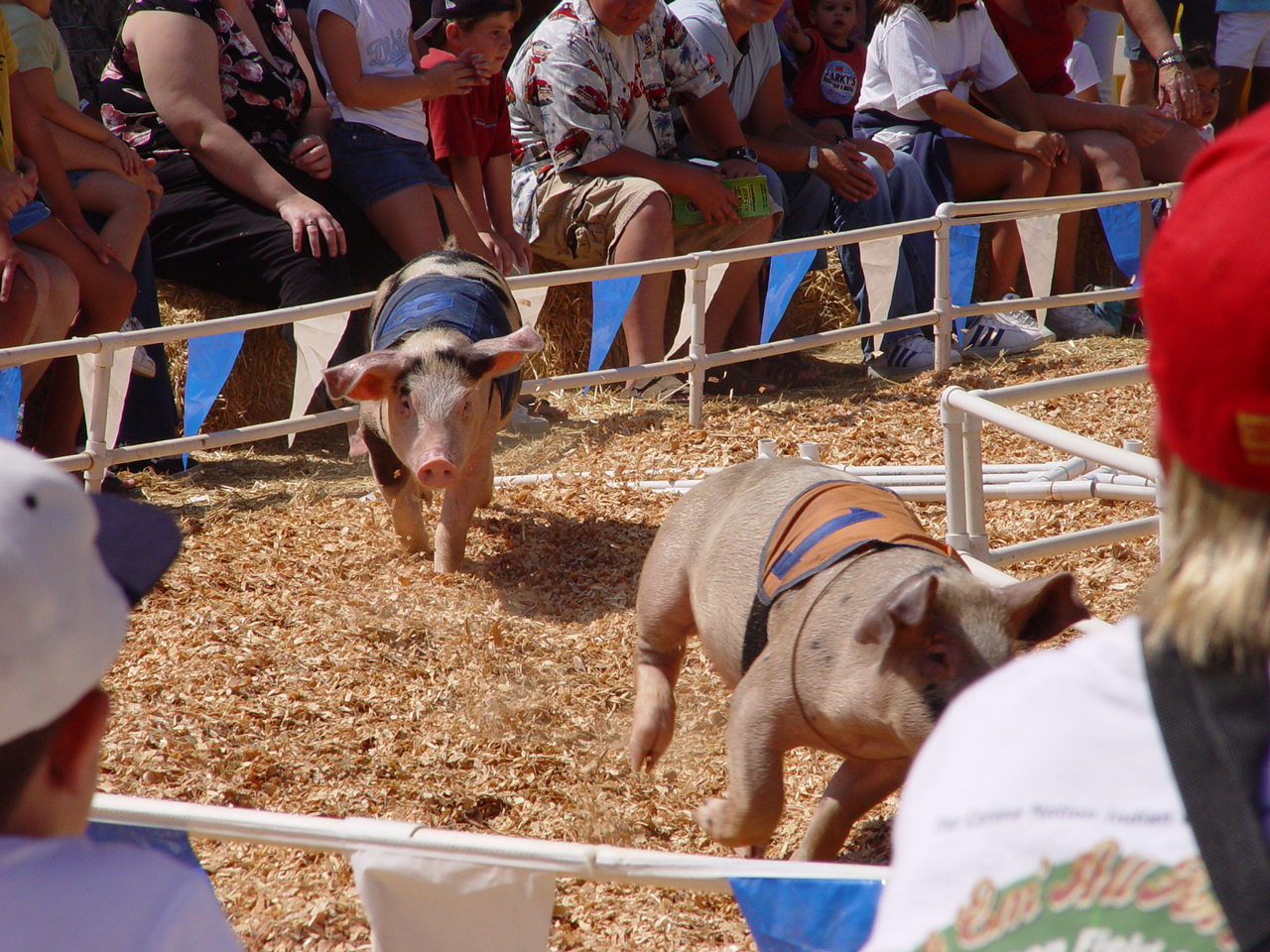 The Liles and Porters go to the OC Fair 2004