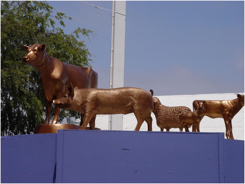 Orange County Fair 2005