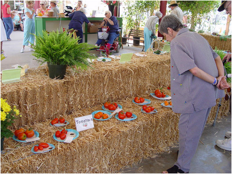 Orange County Fair 2005