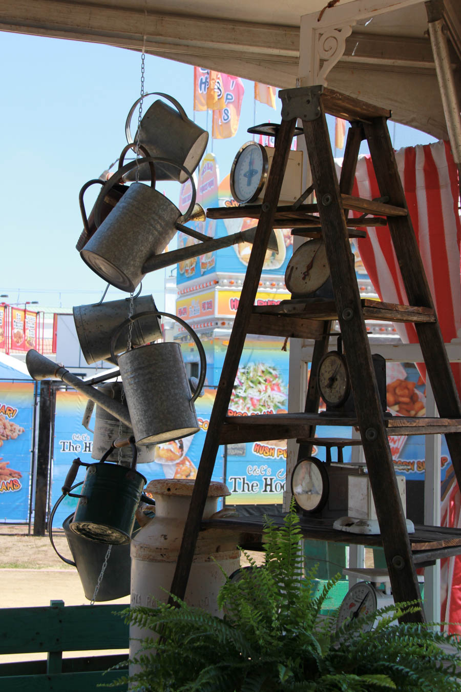 Visiting the Orange County Fair July 16th 2016