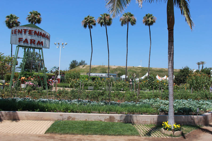 Visiting the Orange County Fair July 16th 2016