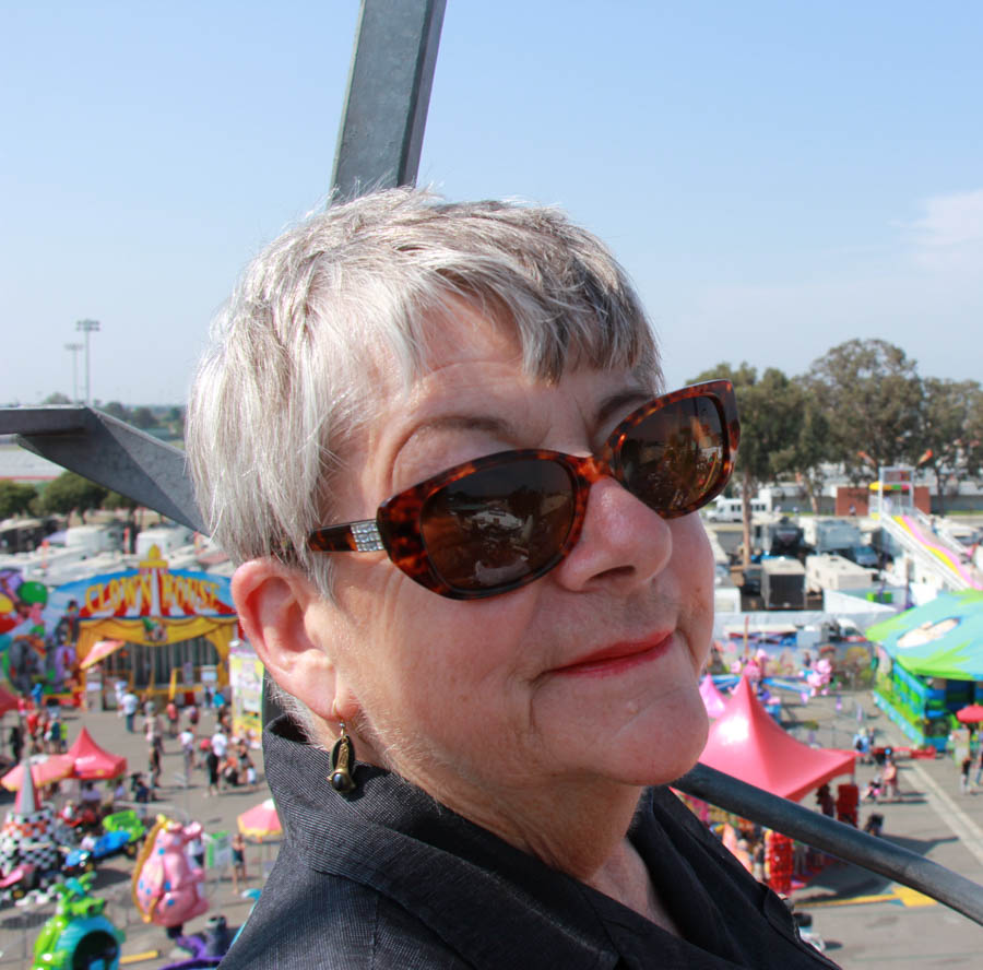 OC Fair July 30th 2016 with Robin, Bob, and Nick