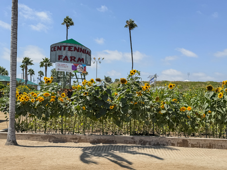 OC Fair August 15th 2025