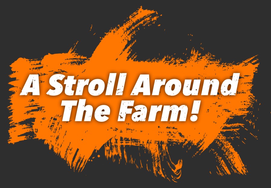 OC Fair August 15th 2025
