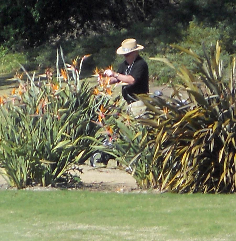 The Old Ranch Mystery Gardner discovered