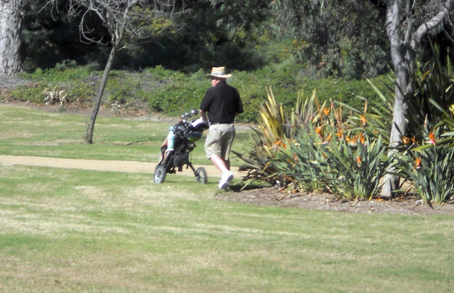 The Old Ranch Mystery Gardner discovered