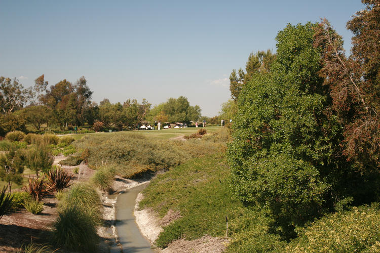 Old Ranch Pros March 2009