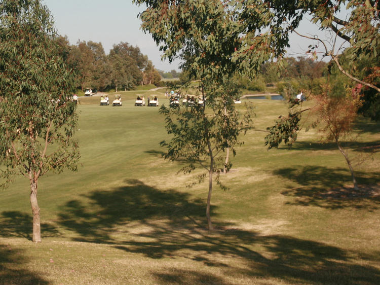 Old Ranch Pros March 2009