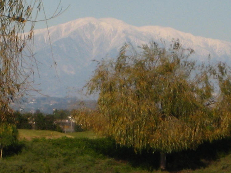 December in Socal