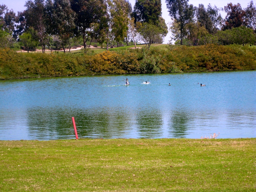 golf and birthdays at Old Ranch Country Club 4/20/2012