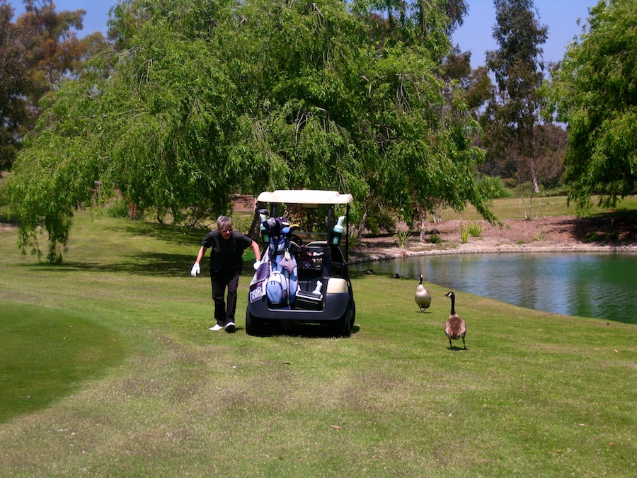 golf and birthdays at Old Ranch Country Club 4/20/2012