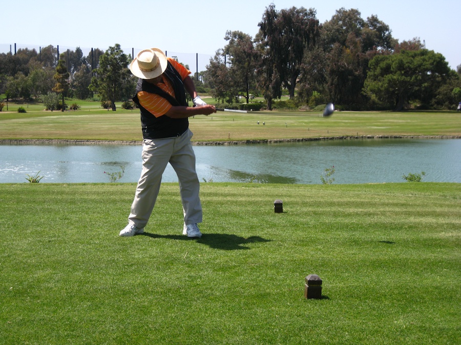 Geese and ducjs on the course