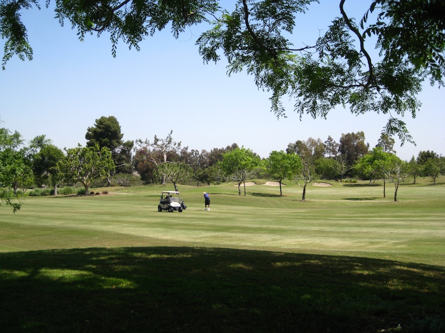 Playing golf 4/26/2013